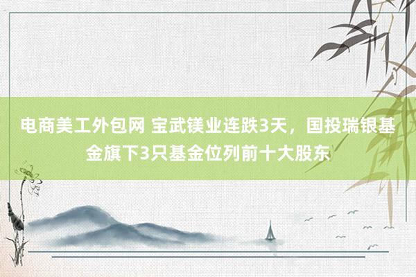 电商美工外包网 宝武镁业连跌3天，国投瑞银基金旗下3只基金位列前十大股东